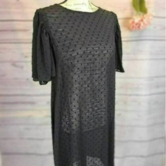 Anthropologie Dresses & Skirts - ♡3/$30♡ Polka Dot Sheer Embroidered Mini Dress